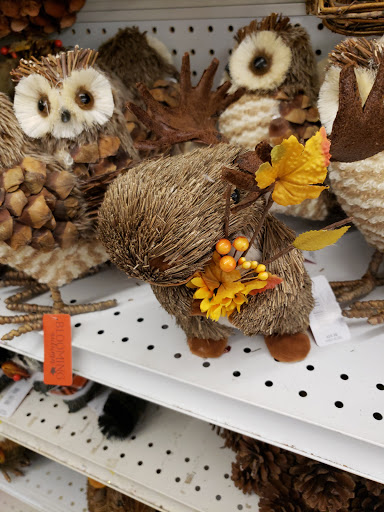 JOANN Fabric and Crafts