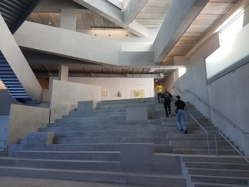 The Glassell School of Art